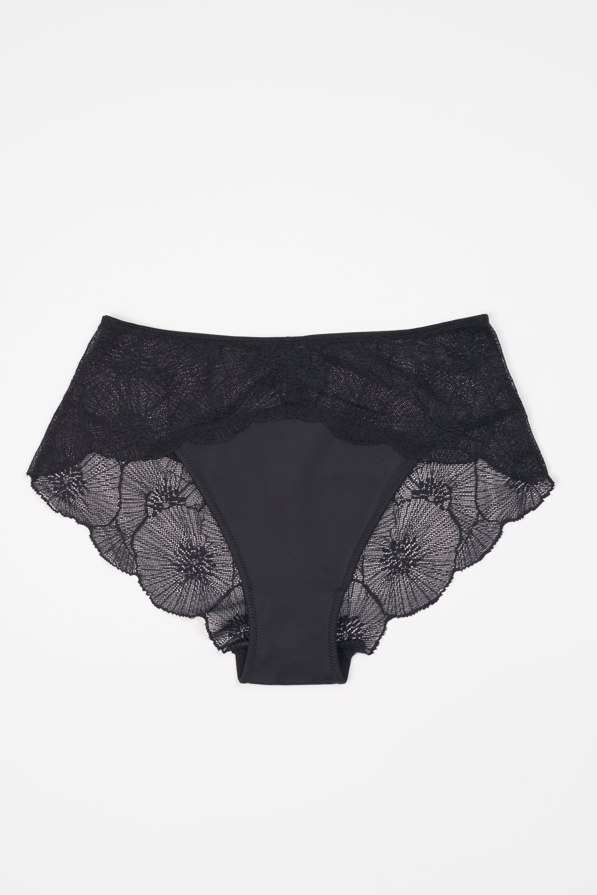 Anemone Brief