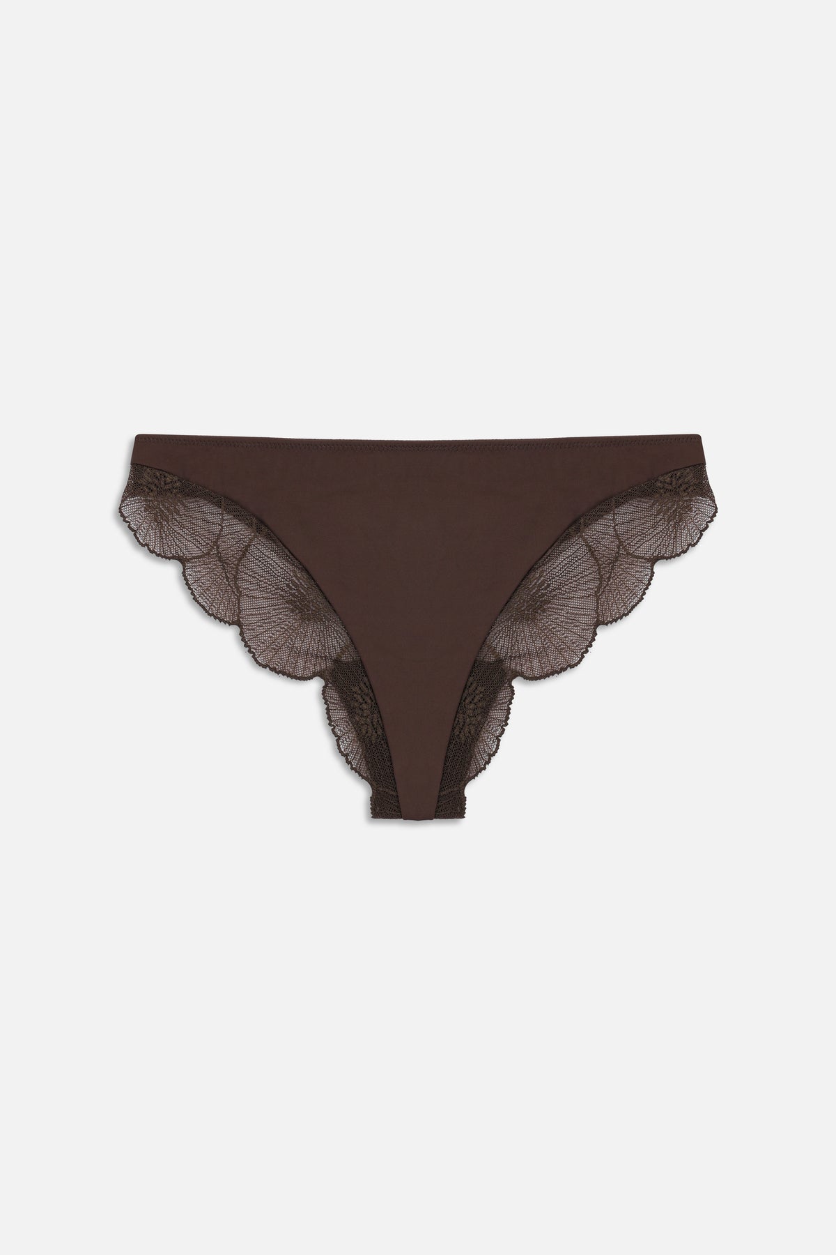 Anemone Thong | Choco