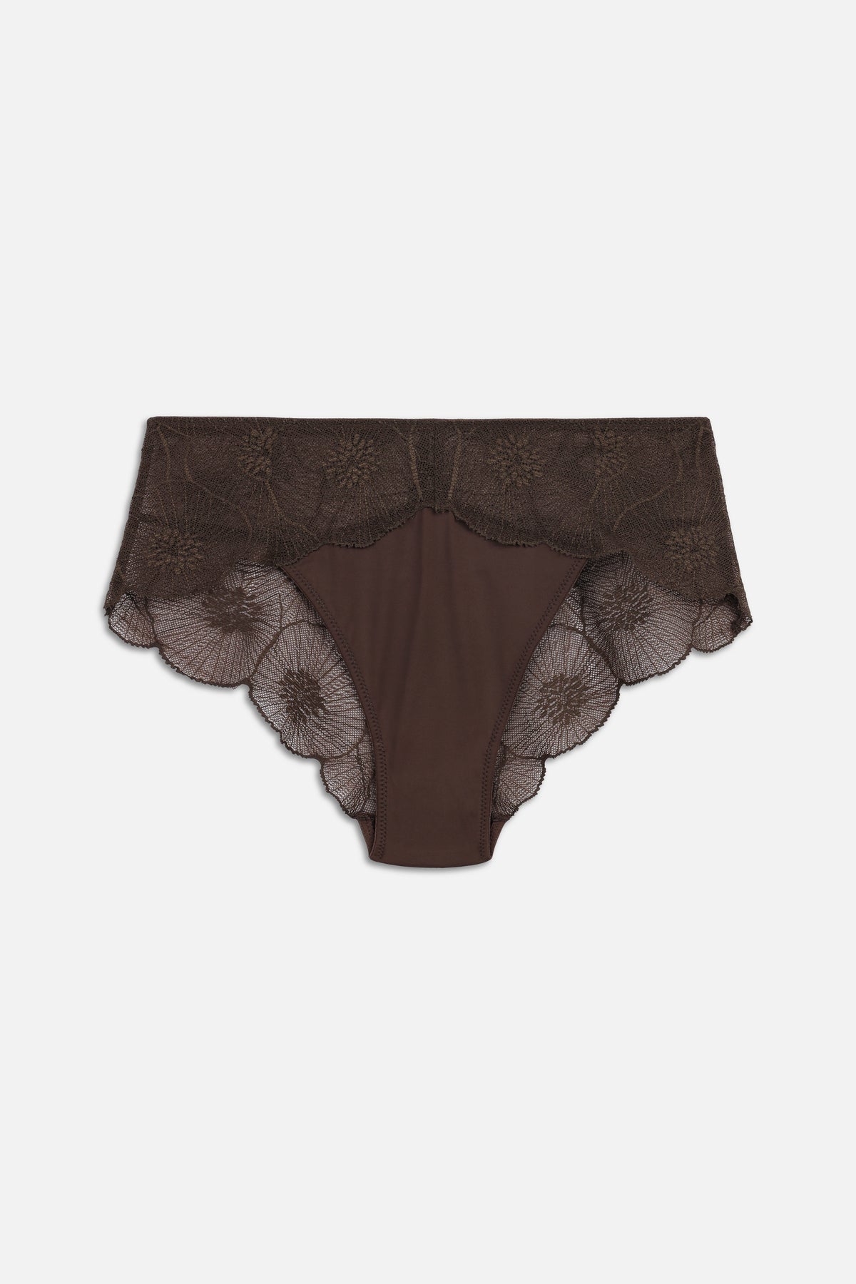Anemone Brief | Choco