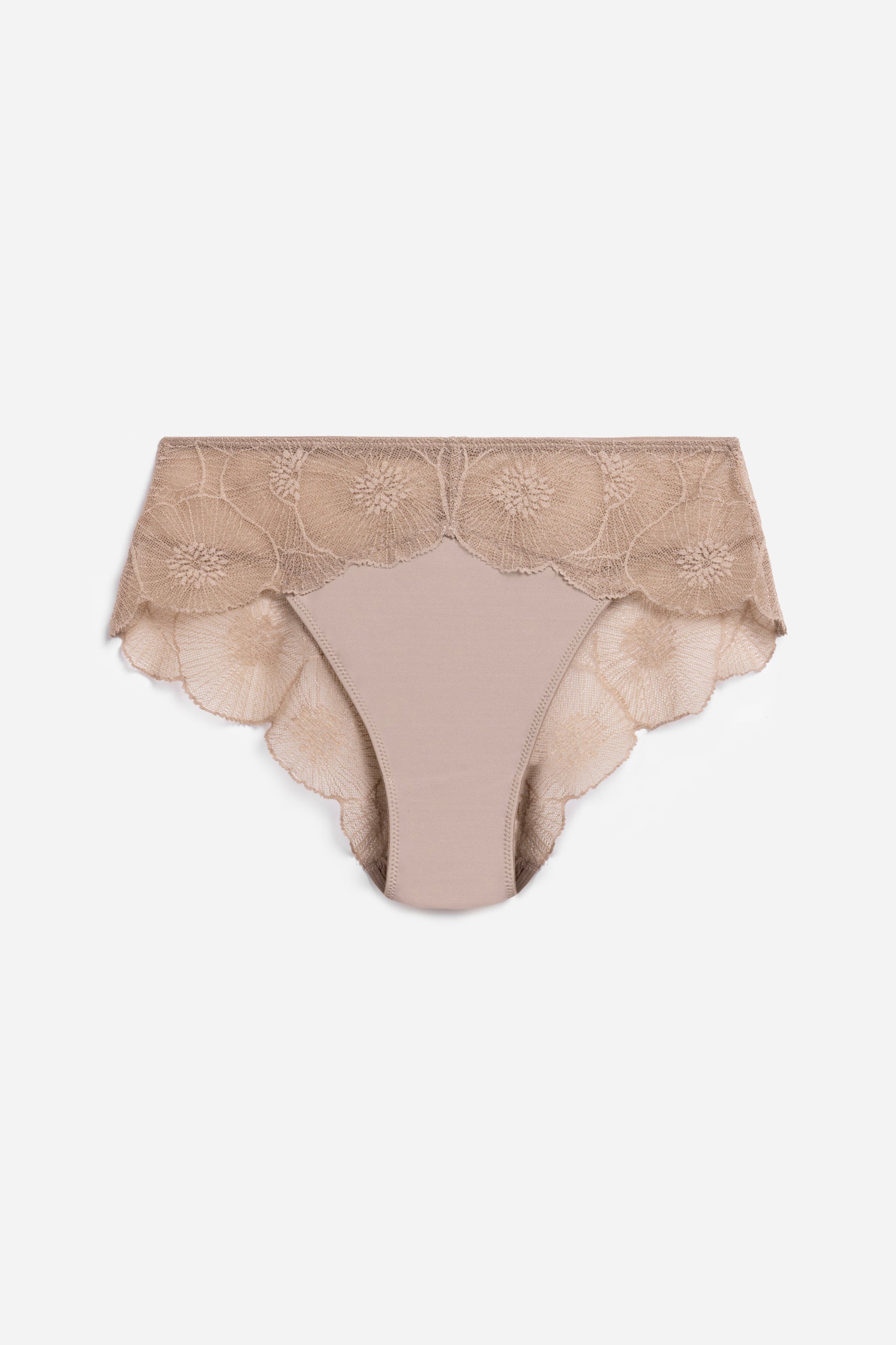 Anemone Brief