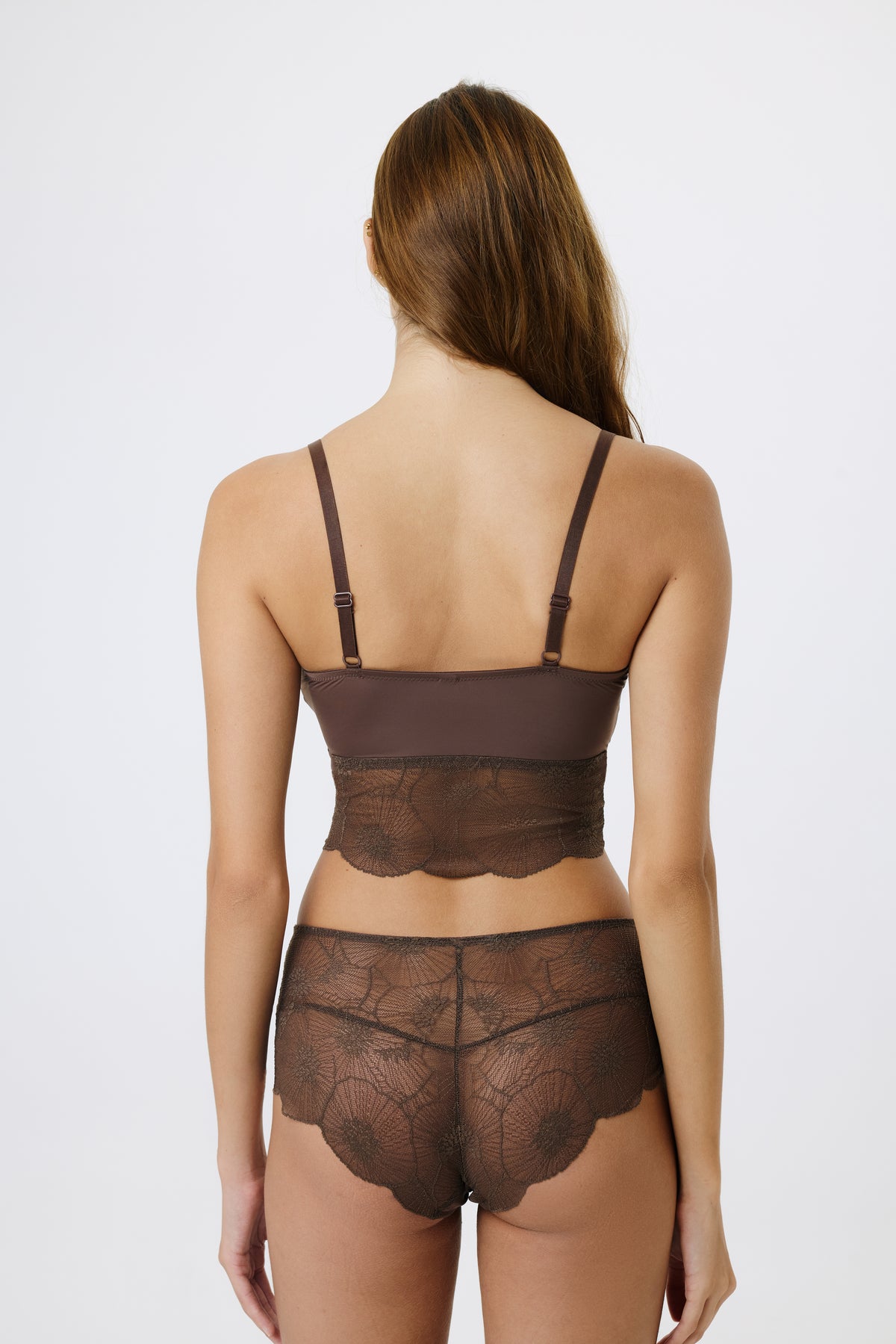 Anemone Brief | Choco